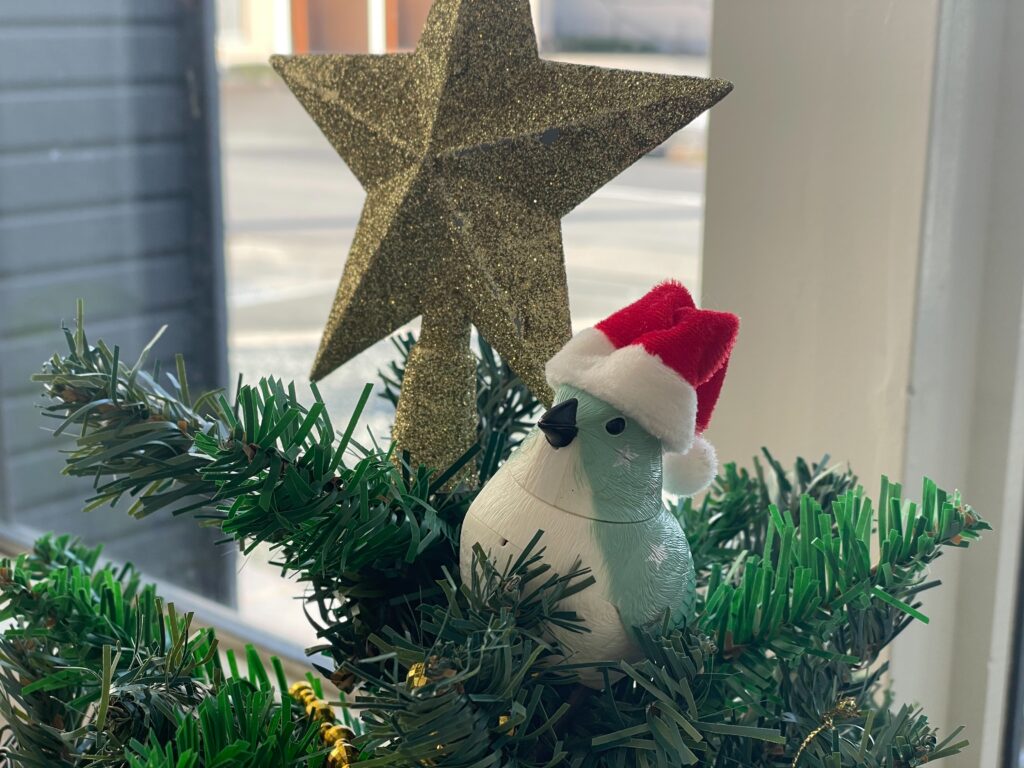 12月になりました